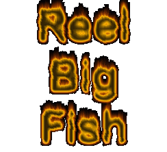 rbffire.gif (38924 bytes)